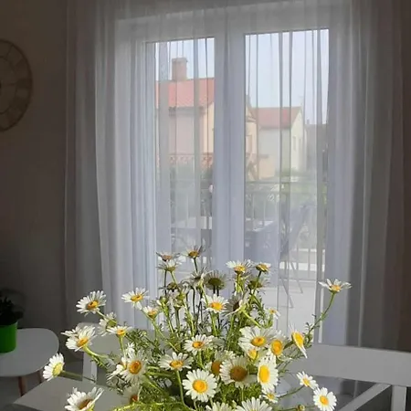 Valdebek With Pool * Pula